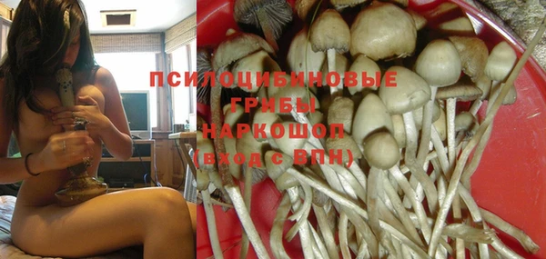 кокаин премиум Богданович