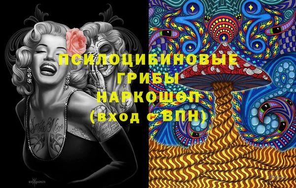 PSILOCYBIN Богородицк