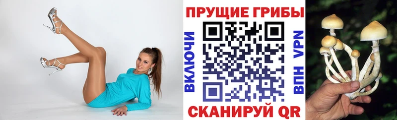 Псилоцибиновые грибы мицелий  Моздок 